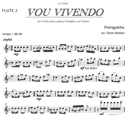 Vou Vivendo for flute septet and percussion | ScoreVivo
