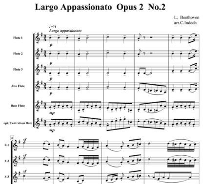 Largo Appassionato Op 2 No 2 for flute sextet | ScoreVivo