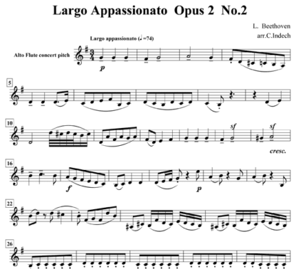Largo Appassionato Op 2 No 2 for flute sextet | ScoreVivo