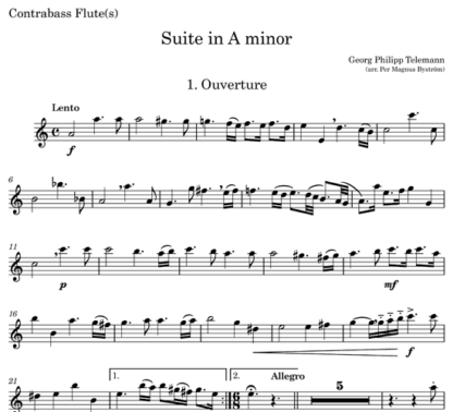 Suite in A minor, TWV 55:a2 for flute octet | ScoreVivo