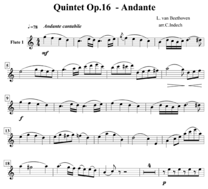 Quintet Op 16 Andante for flute sextet | ScoreVivo