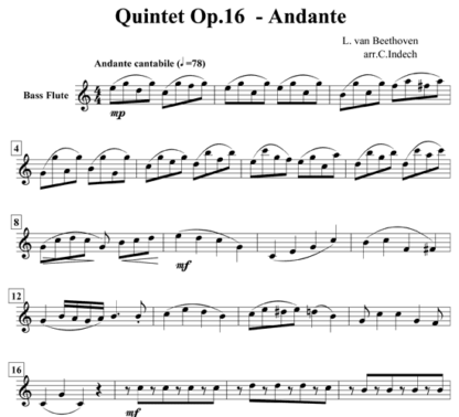 Quintet Op 16 Andante for flute sextet | ScoreVivo