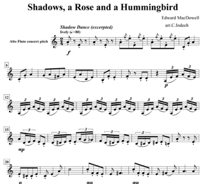 Shadows, a Rose, and a Hummingbird for flute quintet | ScoreVivo