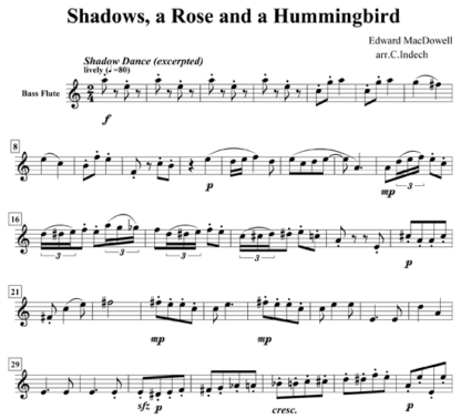 Shadows, a Rose, and a Hummingbird for flute quintet | ScoreVivo