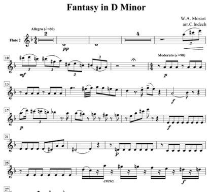 Fantasy in D minor for flute sextet | ScoreVivo