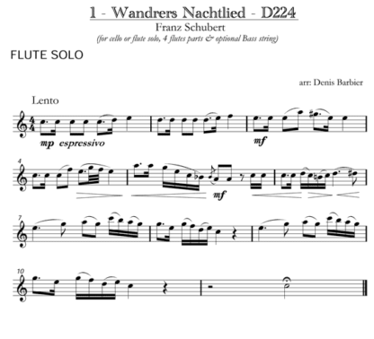 Four Lieder "The Traveler" for flute and strings | ScoreVivo