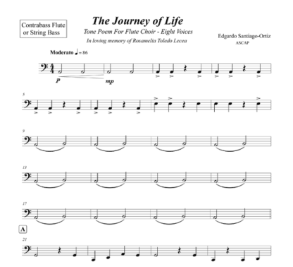 The Journey of Life for flute and string octet | ScoreVivo