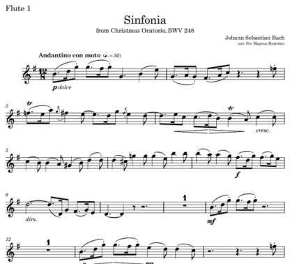 Sinfonia from Christmas Oratorio BWV 248 for flute septet | ScoreVivo