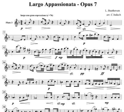 Largo Appassionata, Op 7 for flute sextet | ScoreVivo