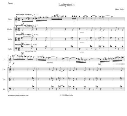 Labyrinth for flute, violin, viola, and cello | ScoreVivo