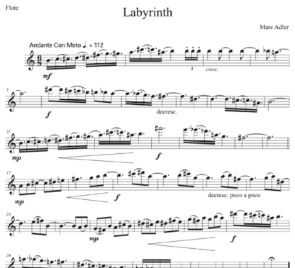 Labyrinth for flute, violin, viola, and cello | ScoreVivo