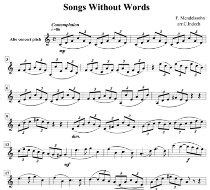 Songs Without Words for flute sextet | ScoreVivo
