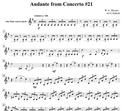 Andante from Concerto No 21 for flute sextet | ScoreVivo