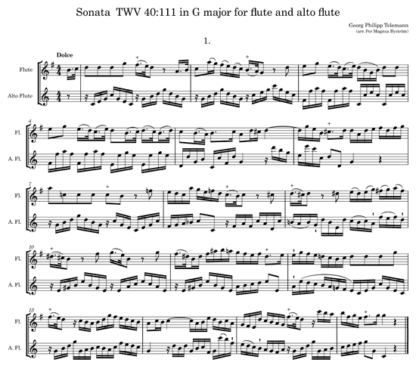 Sonata TWV 40:111 for flute duet | ScoreVivo