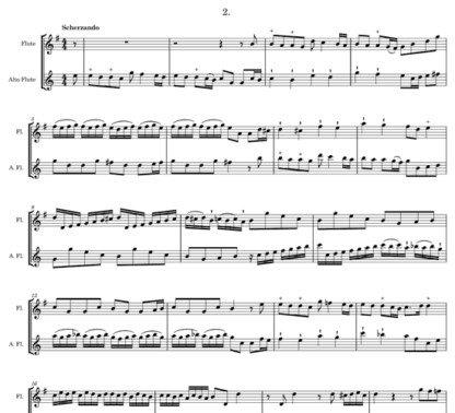 Sonata TWV 40:111 for flute duet | ScoreVivo