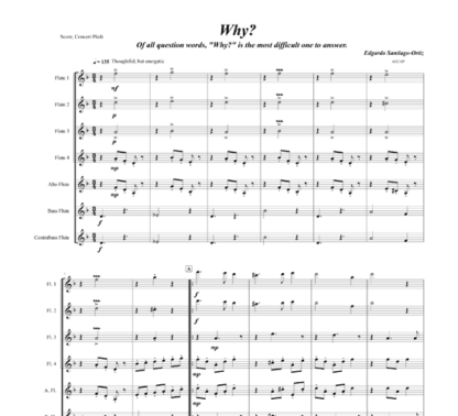 Why? for flute octet and string bass optional | ScoreVivo