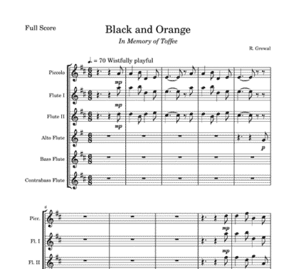 Black and Orange for flute sextet | ScoreVivo