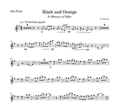 Black and Orange for flute sextet | ScoreVivo