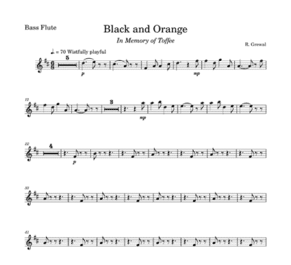 Black and Orange for flute sextet | ScoreVivo