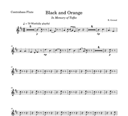 Black and Orange for flute sextet | ScoreVivo