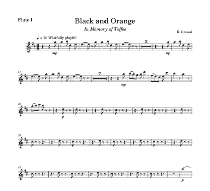 Black and Orange for flute sextet | ScoreVivo