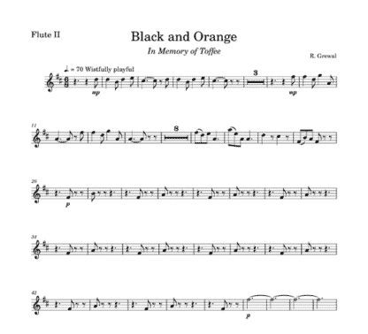 Black and Orange for flute sextet | ScoreVivo