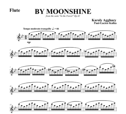 By Moonshine for flute and English horn duet | ScoreVivo