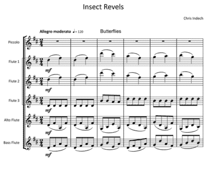 Insect Revels for flute sextet | ScoreVivo