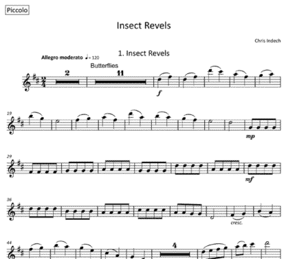 Insect Revels for flute sextet | ScoreVivo