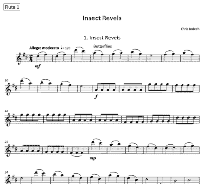 Insect Revels for flute sextet | ScoreVivo