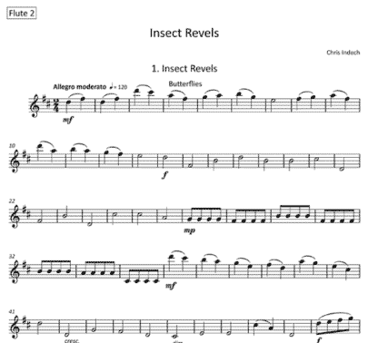 Insect Revels for flute sextet | ScoreVivo