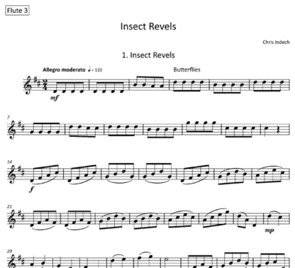 Insect Revels for flute sextet | ScoreVivo