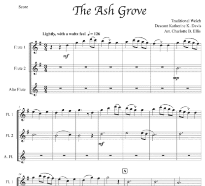 The Ash Grove for flute trio | ScoreVivo