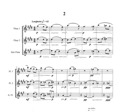 Serenade, Op 141a in G major for flute trio - Image 3