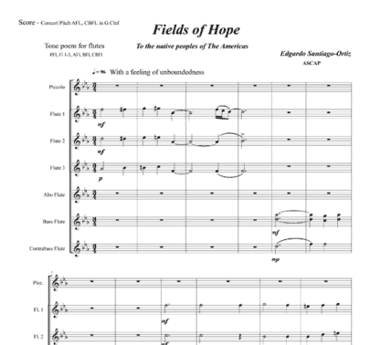 Fields of Hope for flute and string bass - Image 2