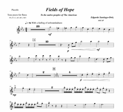 Fields of Hope for flute and string bass - Image 4