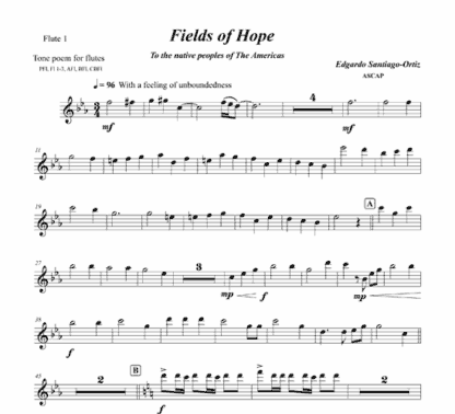 Fields of Hope for flute and string bass - Image 5