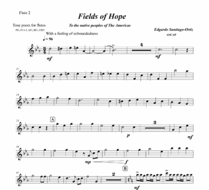Fields of Hope for flute and string bass - Image 6
