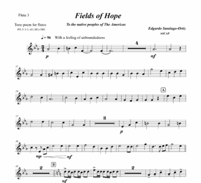 Fields of Hope for flute and string bass - Image 7