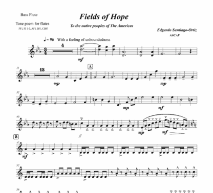 Fields of Hope for flute and string bass - Image 9