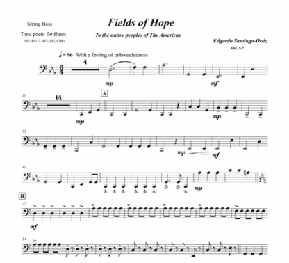 Fields of Hope for flute and string bass - Image 11