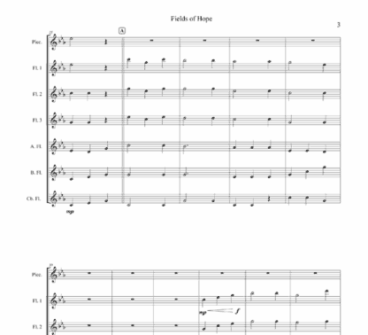 Fields of Hope for flute and string bass - Image 3